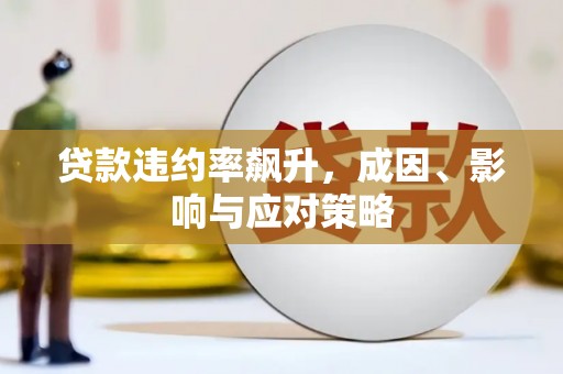 滦南贷款违约率飙升，成因、影响与应对策略